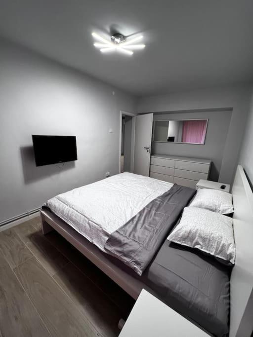 Hugo House Timisoara Apartment Ngoại thất bức ảnh